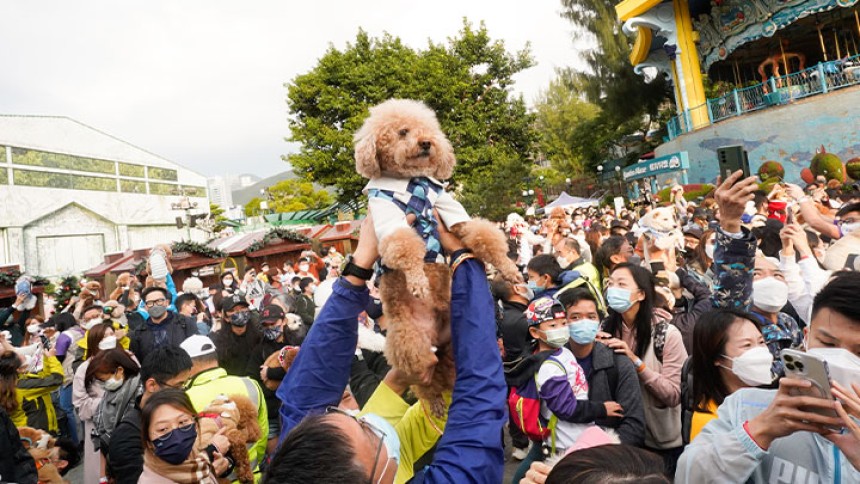 警海洋公園辦愛護動物慈善活動 與近千市民共創擁抱狗狗世界紀錄